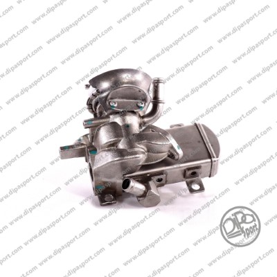 Module-EGR DIPASPORT EGR565DPSN