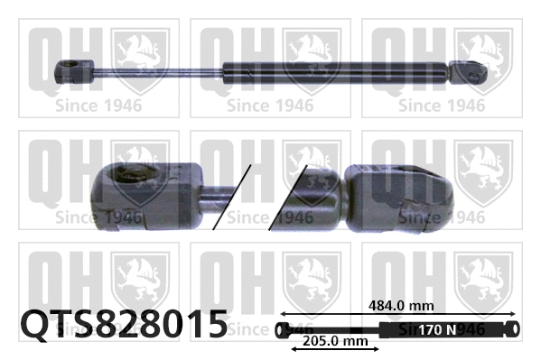 Vérin, capot-moteur QUINTON HAZELL QTS828015