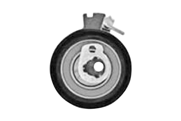 Poulie de tension, courroie crantée SKF Brazil VKM 13256
