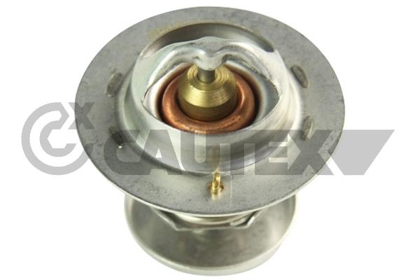 Thermostat, liquide de refroidissement CAUTEX 770213