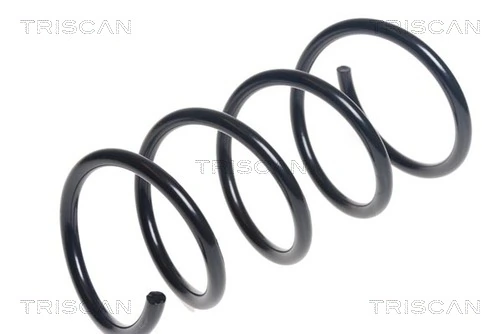 Ressort de suspension TRISCAN 8750 25125