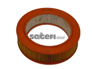 Filtre à air FRAM CA3159