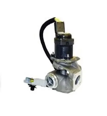 Vanne EGR ASSO 70.0051