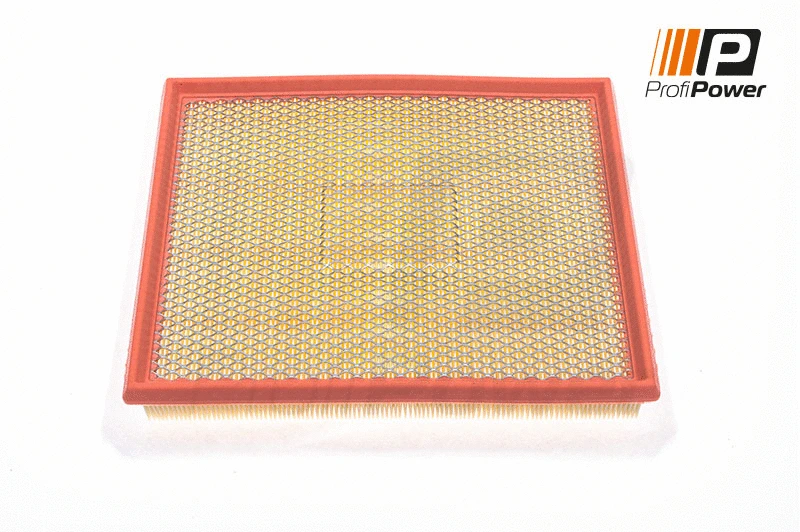 Filtre à air ProfiPower 2F0049