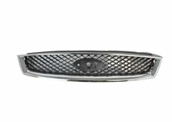 Grille de radiateur BLIC 6502-07-2533991P