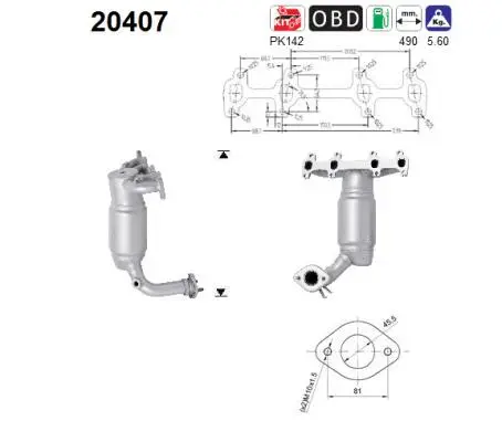 Catalyseur AS 20407