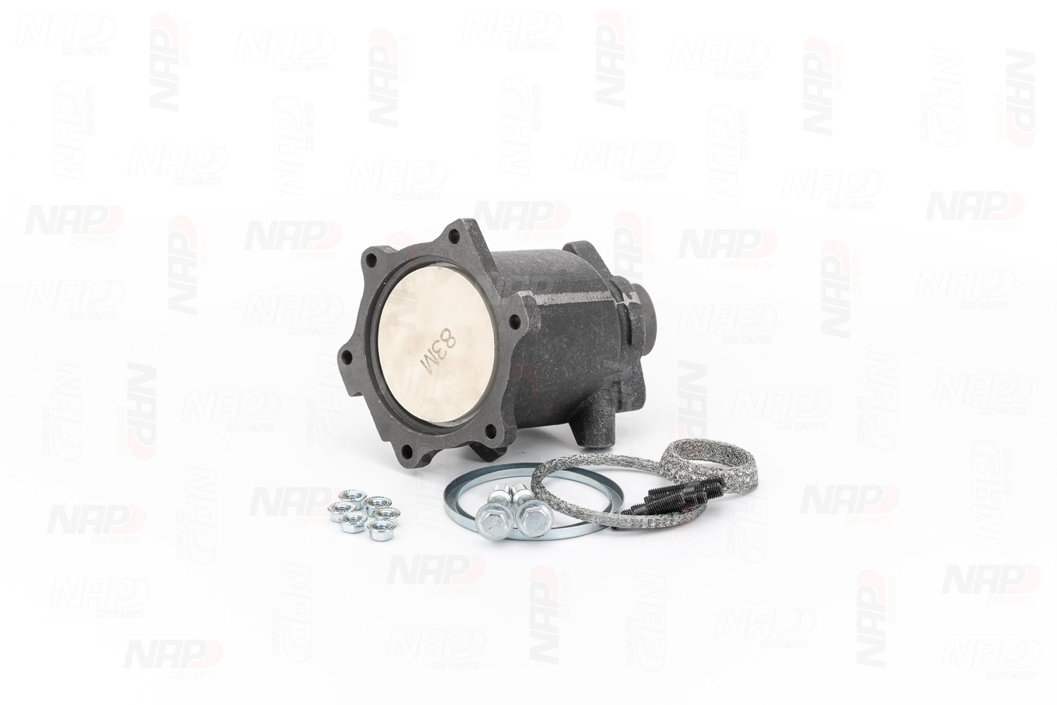 Catalyseur NAP carPARTS GmbH CAK10192