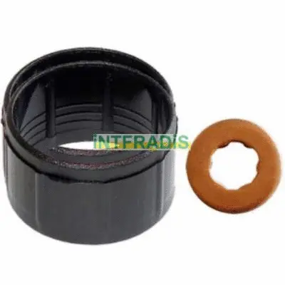 Kit de joints, injecteur INTFRADIS 10127