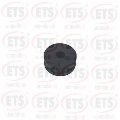 Carlingage de palier, tringlerie de commande ETS 31.ST.803