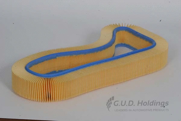 Filtre à air GUD AG719