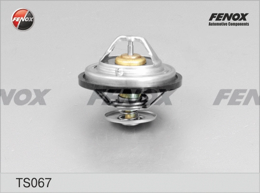Thermostat, liquide de refroidissement FENOX TS067
