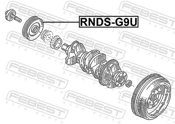 Poulie, vilebrequin FEBEST RNDS-G9U