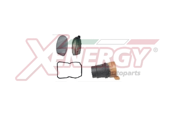 Filtre hydraulique, boîte automatique AP XENERGY X1578031