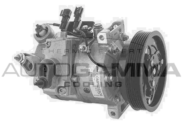 Compresseur, climatisation AUTOGAMMA 118703