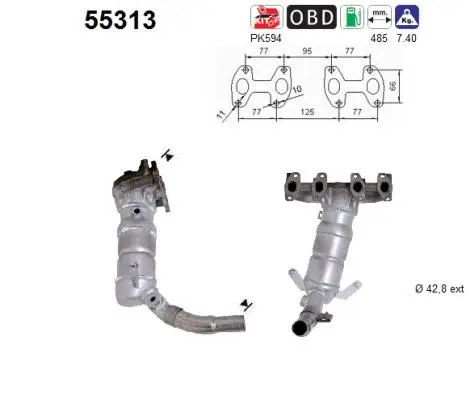 Catalyseur AS 55313