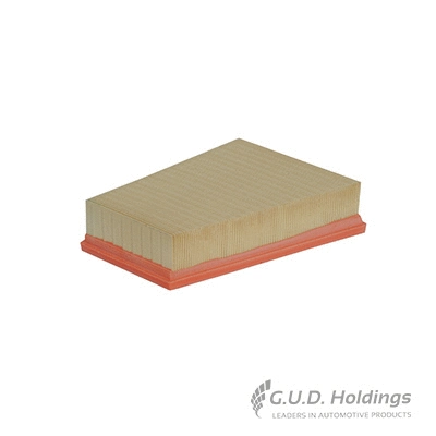 Filtre à air GUD AG1152