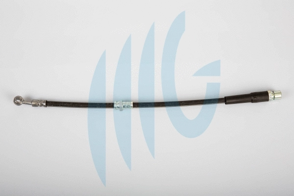 Flexible de frein RICAMBIFLEX GM 02070034