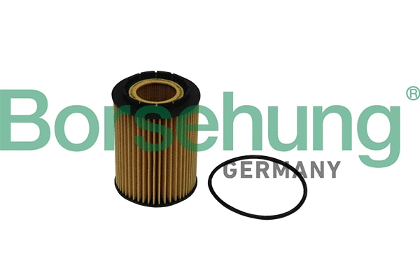 Filtre à huile Borsehung B10516