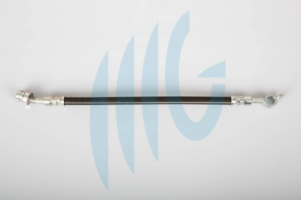 Flexible de frein RICAMBIFLEX GM 02160953