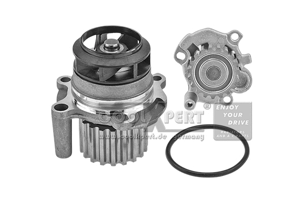 Pompe à eau, refroidissement du moteur BBR Automotive 002-60-02161