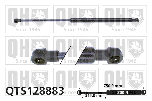 Vérin, capot-moteur QUINTON HAZELL QTS128883