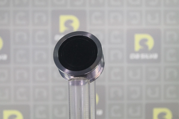 Poulie roue libre, alternateur DA SILVA PRL174