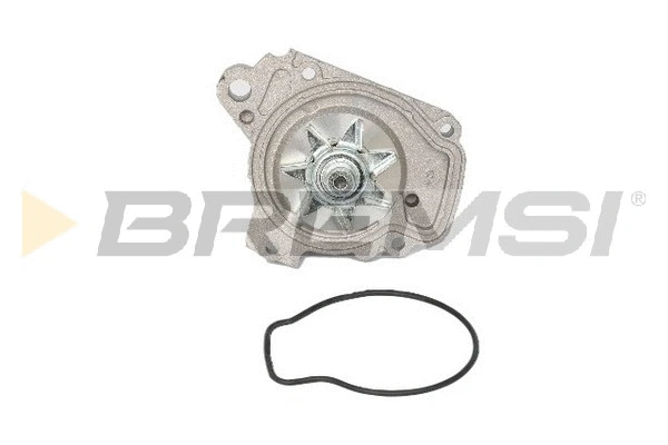 Pompe à eau, refroidissement du moteur BREMSI WP0022