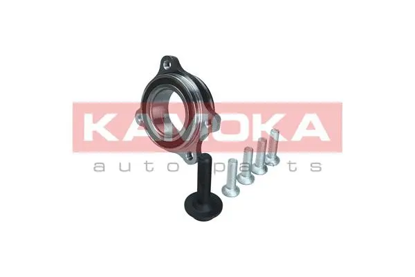 Kit de roulements de roue KAMOKA 5500174