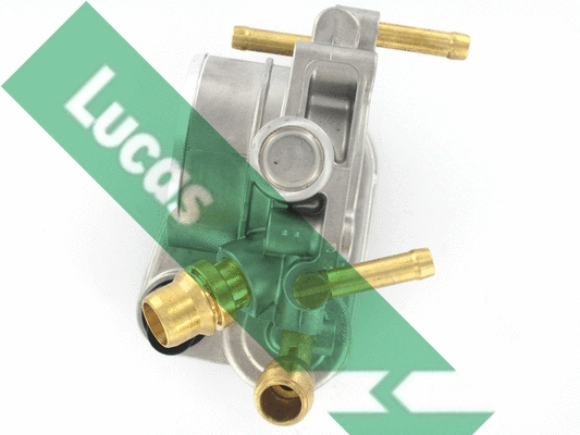 Corps papillon LUCAS LTH552
