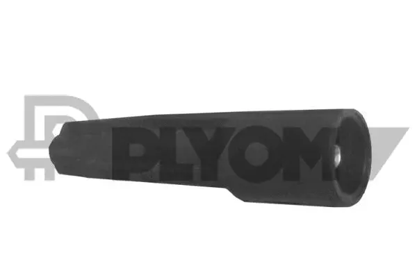 Fiche, bougie d'allumage PLYOM P751076