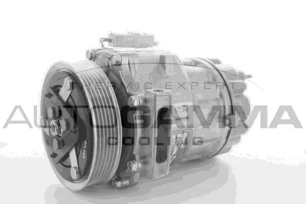 Compresseur, climatisation AUTOGAMMA 108900