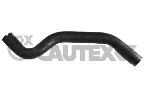 Durite de radiateur CAUTEX 026601