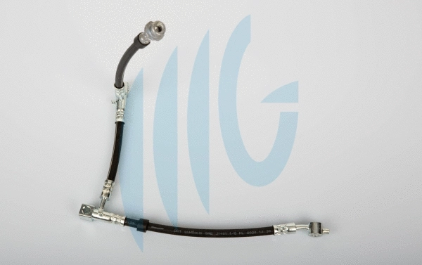 Flexible de frein RICAMBIFLEX GM 02101154