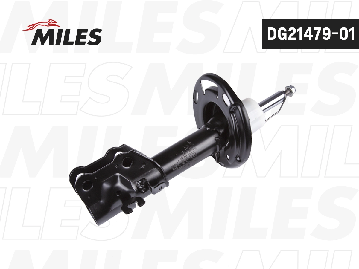 Amortisseur MILES DG21479-01
