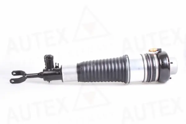 Ressort pneumatique, châssis AUTEX 933006