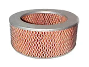 Filtre à air ACDelco Oceania ACA96