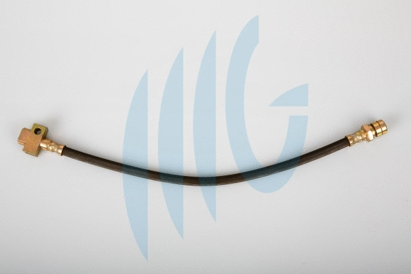 Flexible de frein RICAMBIFLEX GM 02360469