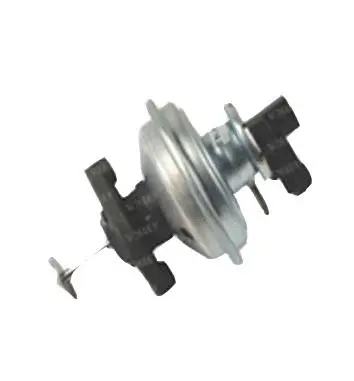 Vanne EGR ASSO 70.0043