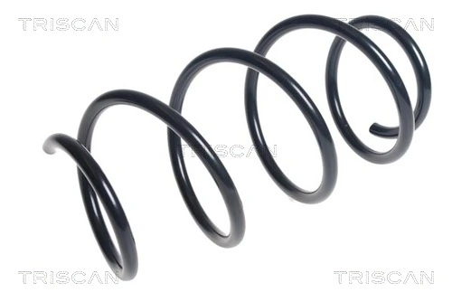 Ressort de suspension TRISCAN 8750 15193