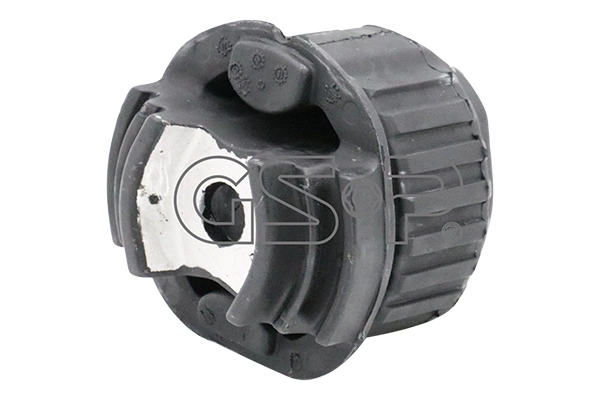 Suspension, corps de l'essieu GSP-BR 510555