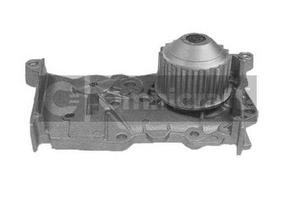 Pompe à eau, refroidissement du moteur Omnicraft 2316906