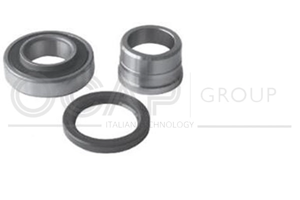 Kit de roulements de roue OCAP 6120661