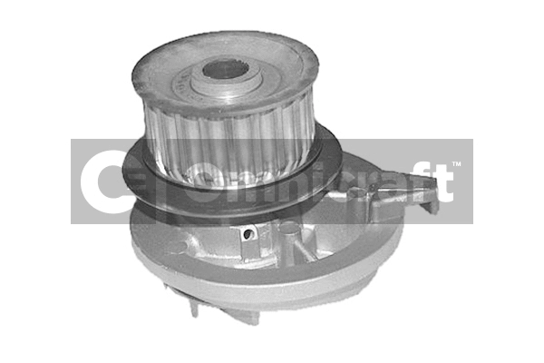 Pompe à eau, refroidissement du moteur Omnicraft 2317428