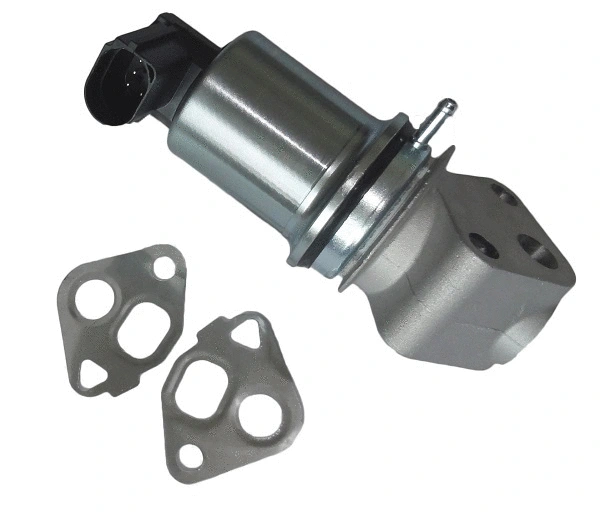 Vanne EGR BBT AGR0307