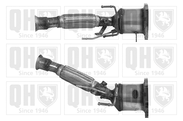 Catalyseur QUINTON HAZELL QCAT80282