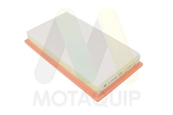 Filtre à air MOTAQUIP LVFA1726
