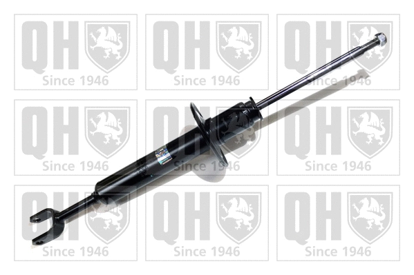 Amortisseur QUINTON HAZELL QAG179804