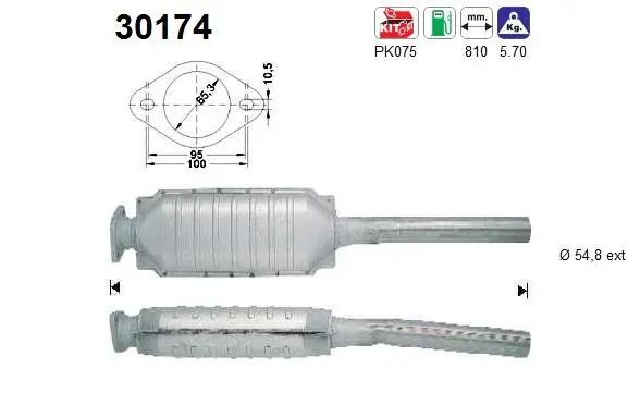 Catalyseur AS 30174