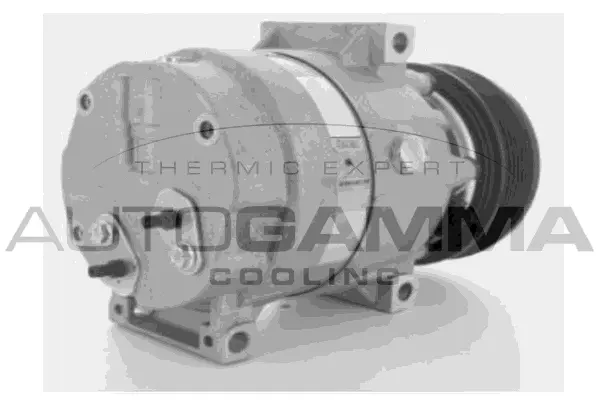 Compresseur, climatisation AUTOGAMMA 108027