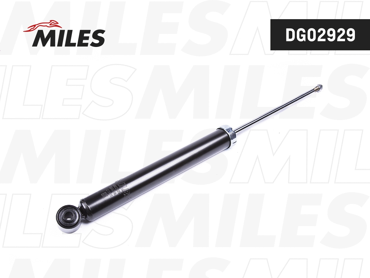 Amortisseur MILES DG02929